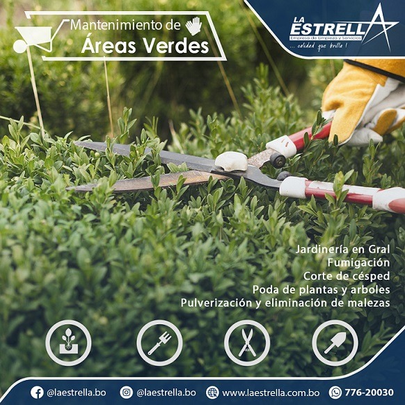 Mantenimiento y cuidado de áreas verdes